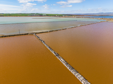 Aerial view of the colorful pink and orange salt pans of Lake Atanasovsko with wooden partitions under a blue sky in Burgas Burgas Bulgaria. Aerial view of the colorful pink and orange salt pans of Lake Atanasovsko with wooden partitions under a blue sky in Burgas Burgas Bulgaria.
