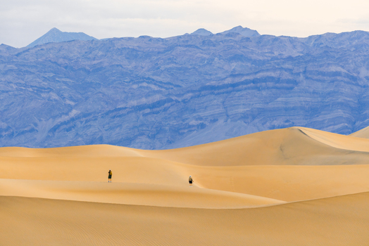 View of two people walking across the vast sand dunes of Death Valley National Park with rugged mountains in the background under a soft sky in the United States.