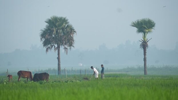 View of farmers working in a misty field in Bogura Bangladesh.