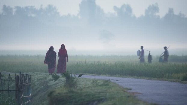 View of people walking through misty rural fields Bangladesh. View of people walking through misty rural fields Bangladesh.
