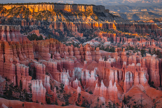 View of the iconic hoodoos and red rock formations of Bryce Canyon National Park illuminated by golden hour light in Utah United States.