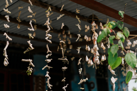 View of hanging coral and seashell decorations under a wooden roof in Raja Ampat island Southwest Papua Indonesia. View of hanging coral and seashell decorations under a wooden roof in Raja Ampat island Southwest Papua Indonesia.