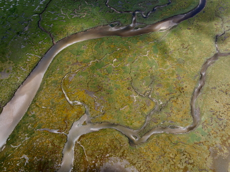 Aerial view of the abstract tidal patterns at Culbin Sands featuring intricate winding channels and salt marsh vegetation in Nairn Scotland United Kingdom. Aerial view of the abstract tidal patterns at Culbin Sands featuring intricate winding channels and salt marsh vegetation in Nairn Scotland United Kingdom.