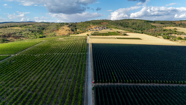 Aerial view of Deuric winery vineyards and orchards with rows of crops separated by a road in the rolling hills of Mala Remeta Vojvodina Serbia. Aerial view of Deuric winery vineyards and orchards with rows of crops separated by a road in the rolling hills of Mala Remeta Vojvodina Serbia.