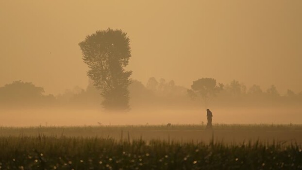 View of a person walking through a misty field at sunrise Bangladesh.
