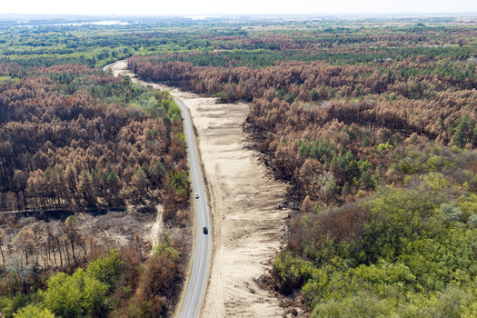 Aerial view of the Deliblato Sands wildfire aftermath showing a road cutting through charred forest sandy terrain and patches of green vegetation in Dubovac Vojvodina Serbia.