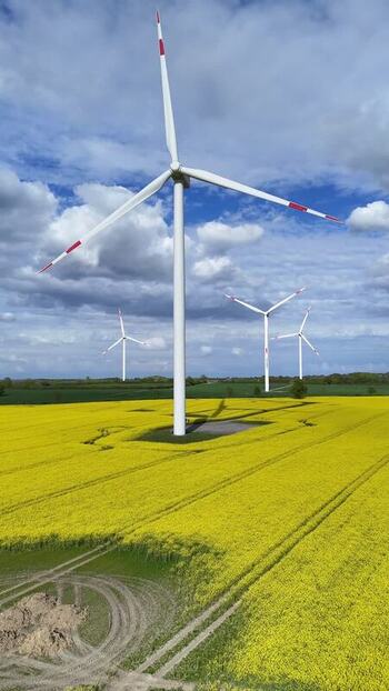 Aerial view of wind turbines in a yellow rapeseed field Germany. Aerial view of wind turbines in a yellow rapeseed field Germany.