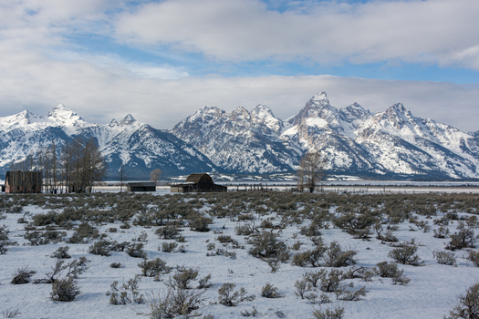 View of the historic barns in Jackson Hole set against the snow capped Teton Range under a cloudy sky in Teton County Wyoming United States.
