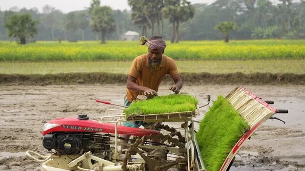 View of a farmer using a rice transplanter in a field Bangladesh. View of a farmer using a rice transplanter in a field Bangladesh.