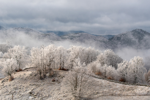 View of frost covered trees on a hillside with misty mountains in the background and a stone wall in Alba Iulia Alba County Romania. View of frost covered trees on a hillside with misty mountains in the background and a stone wall in Alba Iulia Alba County Romania.