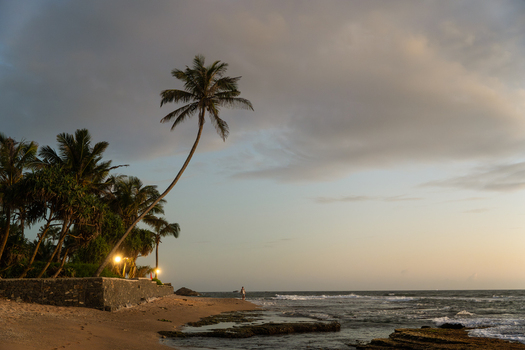 View of palm trees leaning over a sandy beach with a stone wall and a person on the shore under a cloudy twilight sky in Galle Southern Province Sri Lanka.