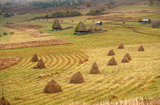 View of traditional haystacks scattered across a rolling rural landscape with wooden huts and autumn foliage in Alba Iulia Alba County Romania. View of traditional haystacks scattered across a rolling rural landscape with wooden huts and autumn foliage in Alba Iulia Alba County Romania.