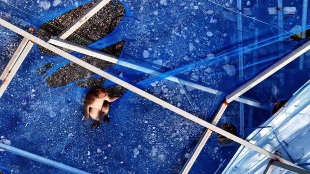 Aerial view of a monkey on a blue tarp in Indonesia.