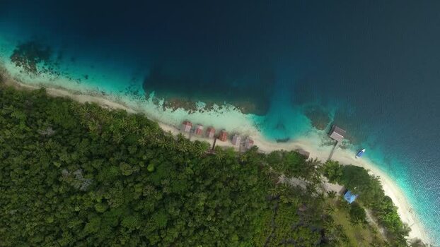 Aerial view of bungalows on the beach in Fam Island Indonesia.