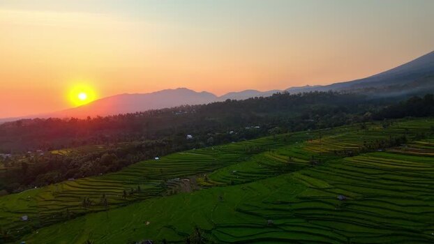 Aerial view of Senaru Rice Fields at sunset Indonesia. Aerial view of Senaru Rice Fields at sunset Indonesia.