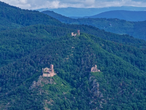 Aerial view of the three medieval castle ruins of Saint Ulrich Girsberg and Haut Ribeaupierre nestled among lush green forested hills under a soft blue sky in Ribeauville Grand Est France. Aerial view of the three medieval castle ruins of Saint Ulrich Girsberg and Haut Ribeaupierre nestled among lush green forested hills under a soft blue sky in Ribeauville Grand Est France.