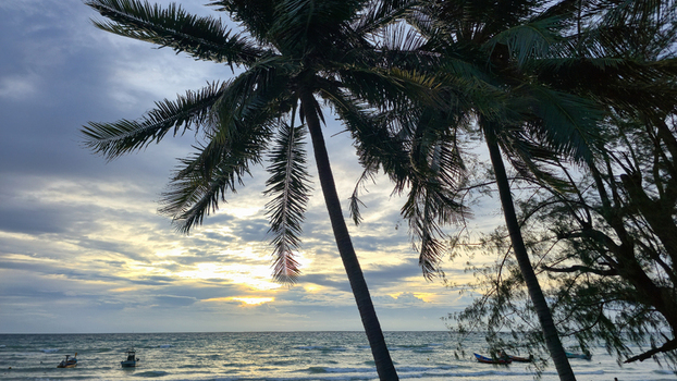 View of palm trees silhouetted against a dramatic sunset sky over the sea with small traditional boats floating near the shore in Ko Tao Surat Thani Thailand.