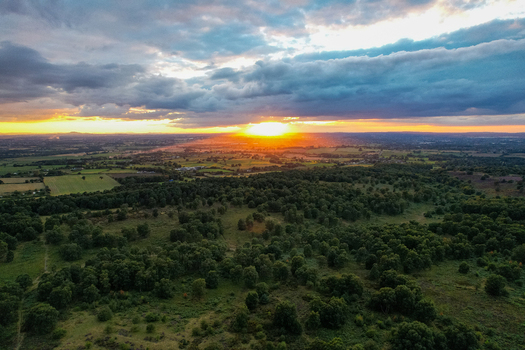 Aerial view of Cannock Chase Forest at sunset with dense woodland rolling hills and a vibrant orange sky over the horizon in Staffordshire England United Kingdom. Aerial view of Cannock Chase Forest at sunset with dense woodland rolling hills and a vibrant orange sky over the horizon in Staffordshire England United Kingdom.