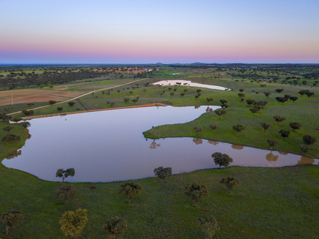 Albernoa Portugal 16 March 2026 Aerial view of a tranquil landscape with a large pond nestled among green rolling hills and cork oak trees during a vibrant sunset. Albernoa Portugal 16 March 2026 Aerial view of a tranquil landscape with a large pond nestled among green rolling hills and cork oak trees during a vibrant sunset.