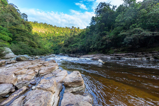 View of the Estrecho del Rio Magdalena featuring narrow rocky riverbanks flowing dark water and lush green forested hills under a blue sky in San Agustin Huila Colombia.