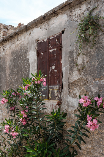 View of a weathered stone wall with a rusty metal shutter and blooming pink oleander flowers in Qeparo Fshat Vlore County Albania. View of a weathered stone wall with a rusty metal shutter and blooming pink oleander flowers in Qeparo Fshat Vlore County Albania.