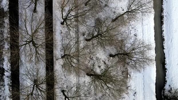 Aerial view of snowy trees and roads Netherlands.