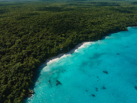 Aerial view of where the dense green forest meets the turquoise ocean creating a vibrant contrast along the coastline Lifou New Caledonia. Aerial view of where the dense green forest meets the turquoise ocean creating a vibrant contrast along the coastline Lifou New Caledonia.