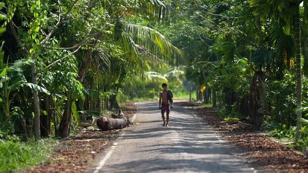 View of a man walking on a rural road with tropical trees Bangladesh. View of a man walking on a rural road with tropical trees Bangladesh.
