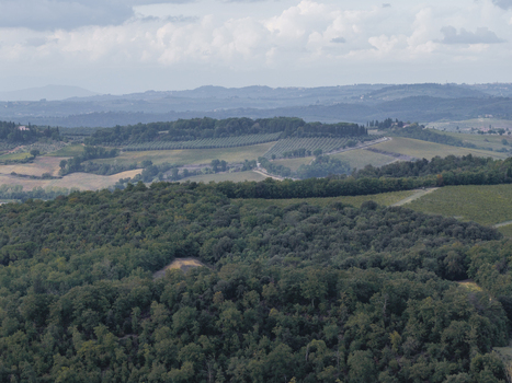 Aerial view of the rolling hills and dense forests of the Tuscan countryside featuring vineyards and olive groves under a cloudy sky in Monteriggioni Tuscany Italy.