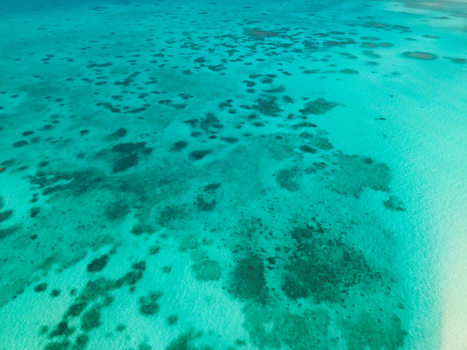 Aerial view of the turquoise waters revealing the intricate coral reefs beneath the surface Vashafaru Island Thiladhummathi Atoll Maldives.
