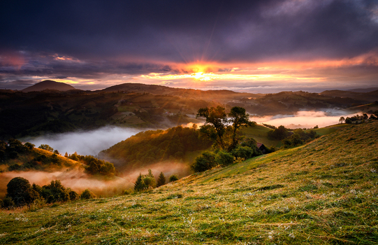 View of rolling hills of the Carpathian Mountains at sunrise with golden light hitting the grassy slopes and mist filling the valleys in Brasov Brasov Romania.