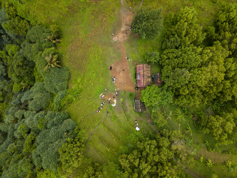 Aerial view of a vibrant green landscape dotted with trees surrounding a building and people at Pengilon Hill Gunungkidul Regency Daerah Istimewa Yogyakarta Indonesia. Aerial view of a vibrant green landscape dotted with trees surrounding a building and people at Pengilon Hill Gunungkidul Regency Daerah Istimewa Yogyakarta Indonesia.