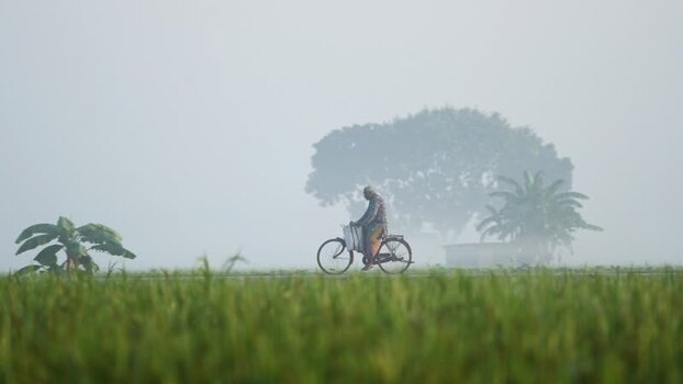 View of a person riding a bicycle in the fog Bangladesh. View of a person riding a bicycle in the fog Bangladesh.