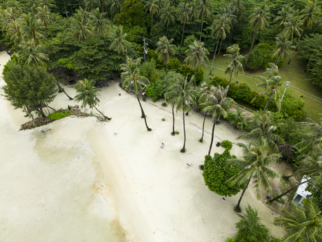 Aerial view of Bobby Beach s shoreline where lush green vegetation meets the white sand a tropical paradise unfolds Karimunjawa Central Java Indonesia.