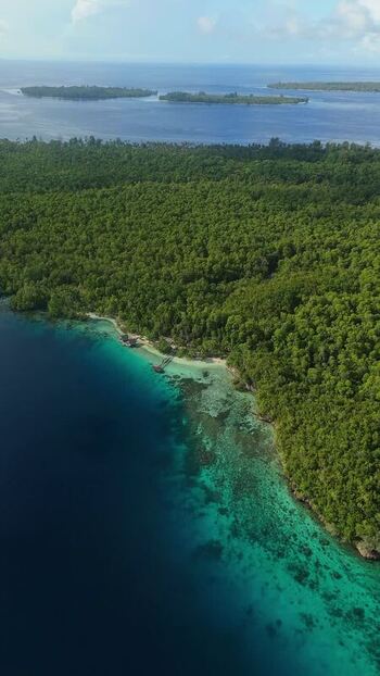 Aerial view of Fam Islands in Indonesia.