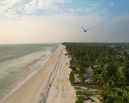 Aerial view of the tranquil turquoise ocean meeting the pristine sandy beach fringed by verdant palm trees under a hazy sky Paje Unguja South Region Tanzania. Aerial view of the tranquil turquoise ocean meeting the pristine sandy beach fringed by verdant palm trees under a hazy sky Paje Unguja South Region Tanzania.