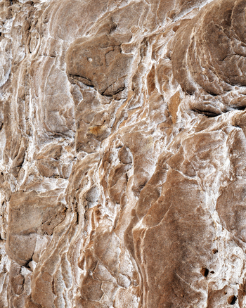 View of the intricate textures and eroded patterns of the Calafuria sandstone cliffs Calafuria Toscana Italy.