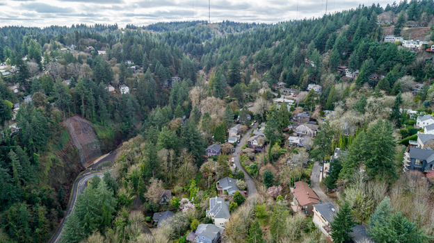 Aerial view of Northwest Imperial Terrace with residential houses nestled among dense evergreen trees and a winding road in a lush valley in Portland Oregon United States. Aerial view of Northwest Imperial Terrace with residential houses nestled among dense evergreen trees and a winding road in a lush valley in Portland Oregon United States.