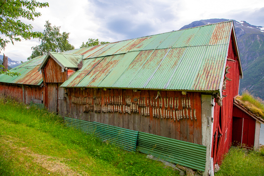 View of the historic Smage mountain farm featuring a red wooden barn with a green corrugated metal roof and dried deer feet hanging on the wall in Geiranger More og Romsdal Norway.