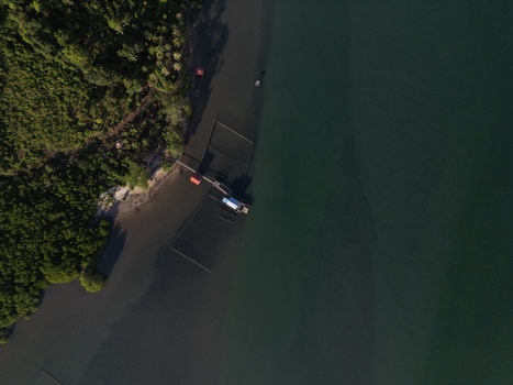 Aerial view of the coastline of Galang Baru featuring lush tropical greenery and traditional fish farm structures in the calm sea Galang Riau Islands Indonesia. Aerial view of the coastline of Galang Baru featuring lush tropical greenery and traditional fish farm structures in the calm sea Galang Riau Islands Indonesia.