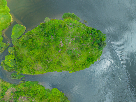 Aerial view of a lush green island surrounded by the flowing waters of the River Nile featuring dense vegetation and rocky outcrops in Jinja Eastern Region Uganda.