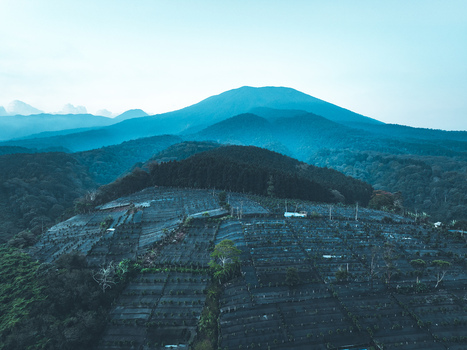 Aerial view of Goalpara Tea Park featuring lush terraced tea plantations set against a backdrop of rolling mountains in Kecamatan Sukaraja Jawa Barat Indonesia. Aerial view of Goalpara Tea Park featuring lush terraced tea plantations set against a backdrop of rolling mountains in Kecamatan Sukaraja Jawa Barat Indonesia.