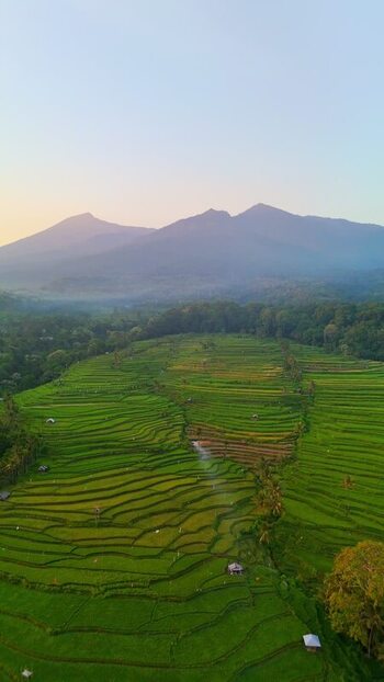 Aerial view of Senaru Rice Fields and mountains Indonesia. Aerial view of Senaru Rice Fields and mountains Indonesia.