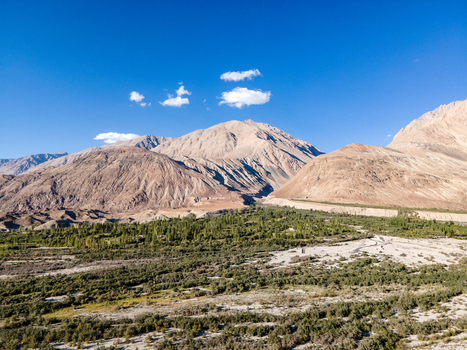 Aerial view of the rugged Himalayan landscape in Ladakh with lush green vegetation along the riverbed and towering arid mountains under a clear blue sky in Ladakh Division Ladakh India. Aerial view of the rugged Himalayan landscape in Ladakh with lush green vegetation along the riverbed and towering arid mountains under a clear blue sky in Ladakh Division Ladakh India.