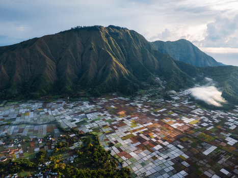 Aerial view of the agricultural basin of Sembalun at the foothills of Mount Rinjani with patchwork fields and morning mist in Sembalun West Nusa Tenggara Indonesia. Aerial view of the agricultural basin of Sembalun at the foothills of Mount Rinjani with patchwork fields and morning mist in Sembalun West Nusa Tenggara Indonesia.