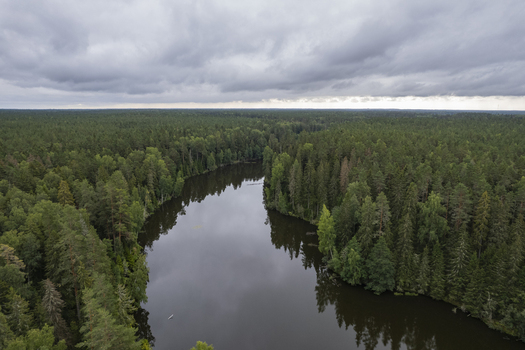 Aerial view of Lahemaa National Park featuring a winding river flowing through a dense coniferous forest under a cloudy sky in Lahemaa Estonia. Aerial view of Lahemaa National Park featuring a winding river flowing through a dense coniferous forest under a cloudy sky in Lahemaa Estonia.