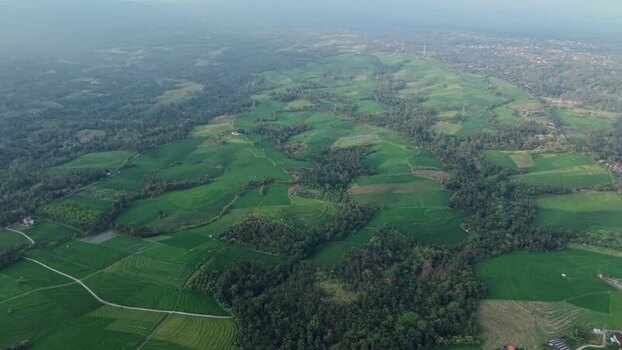 Aerial view of Soka Rice Field Views in Selemadeg Indonesia.