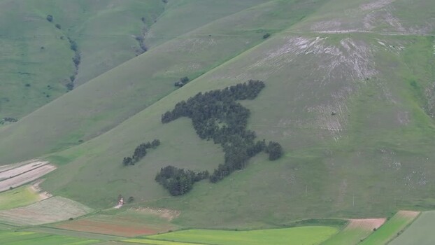 Aerial view of Italy shaped forest in Castelluccio Italy.