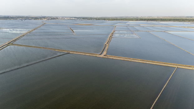 Aerial view of flooded rice paddies at Isla Minima with narrow dirt paths dividing the water under a soft hazy sky in Coria del Rio Andalusia Spain. Aerial view of flooded rice paddies at Isla Minima with narrow dirt paths dividing the water under a soft hazy sky in Coria del Rio Andalusia Spain.