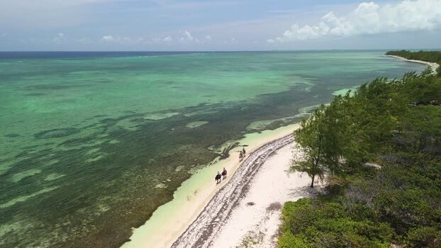 Aerial view of horse riding on Grand Cayman beach Cayman Islands. Aerial view of horse riding on Grand Cayman beach Cayman Islands.